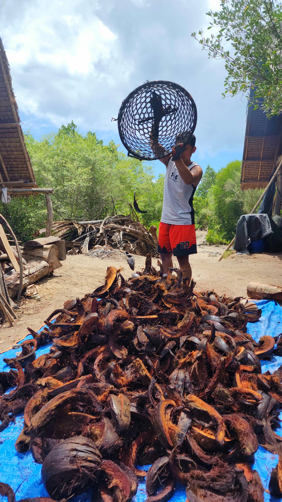 Sea-soaked and chopped coconut husks are dried under the sun.